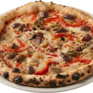 Vegaani